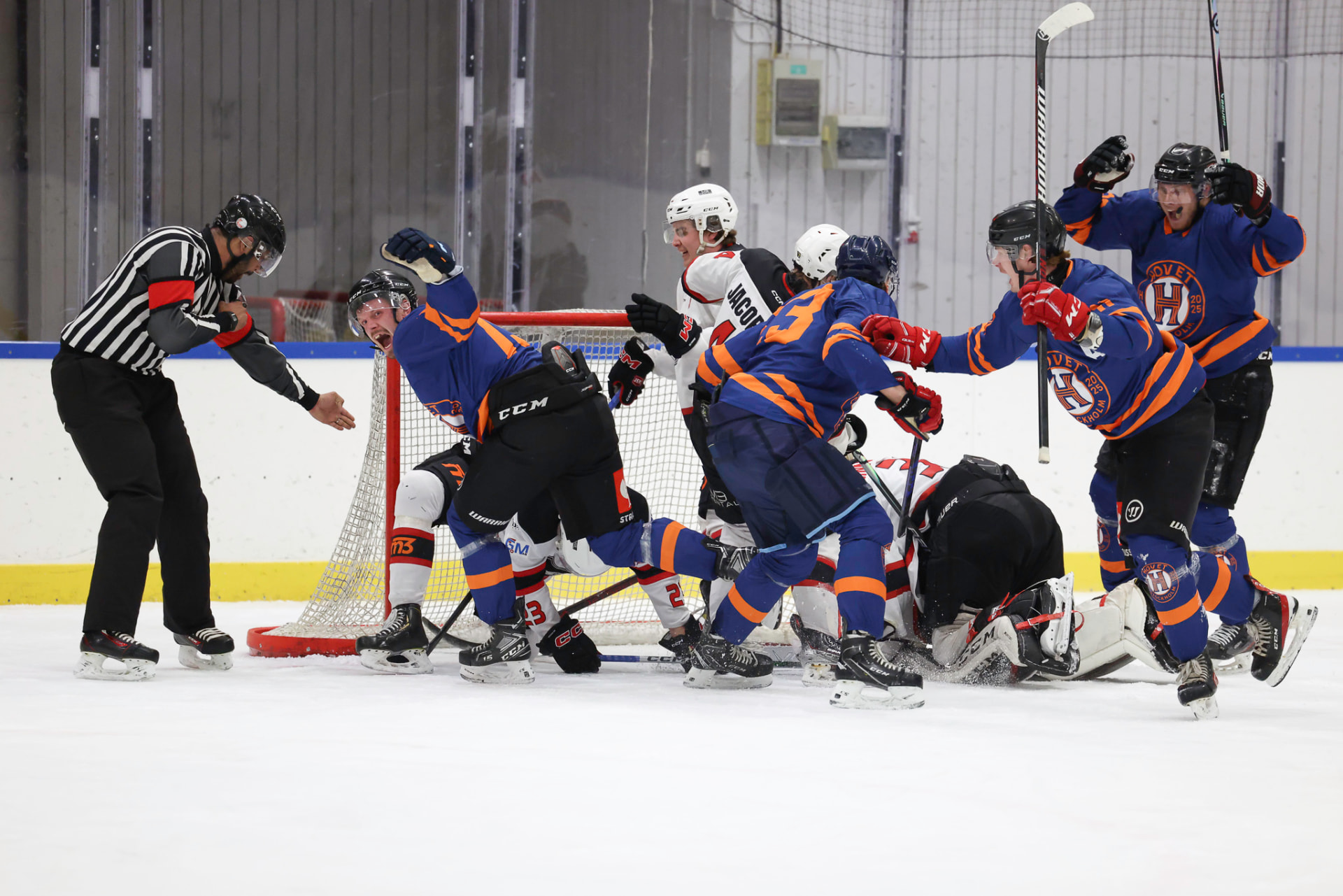 Hovet HC-spelare jublar vid mål